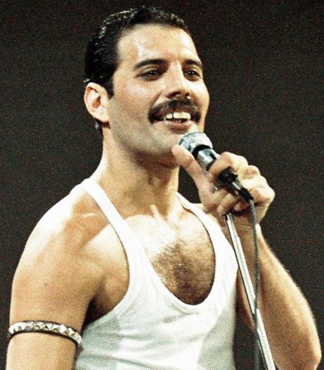  Freddy Mercury 