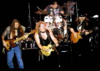  Southern Rock Allstars band 