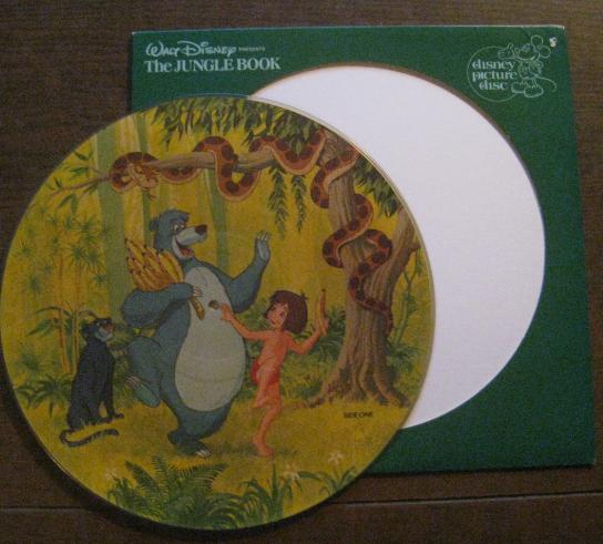  12 inch Picture Disk LP 